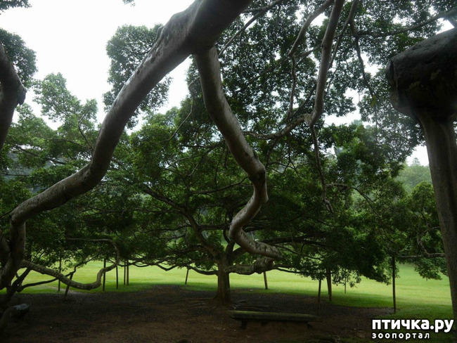 ���� 5: ������� (������� ������)