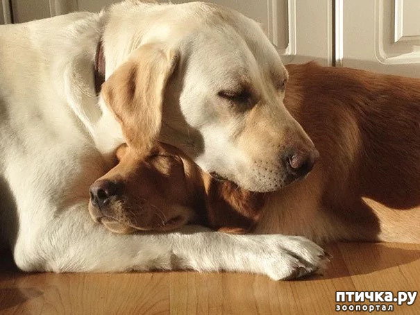 ���� 5: ��������...