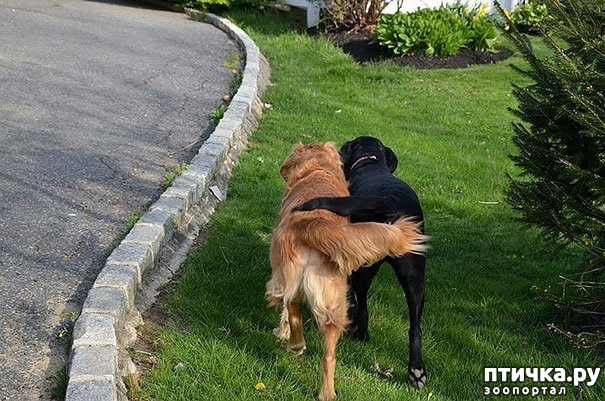 ���� 6: ��������...