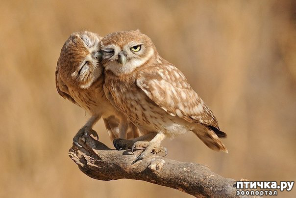 ���� 7: ��������...