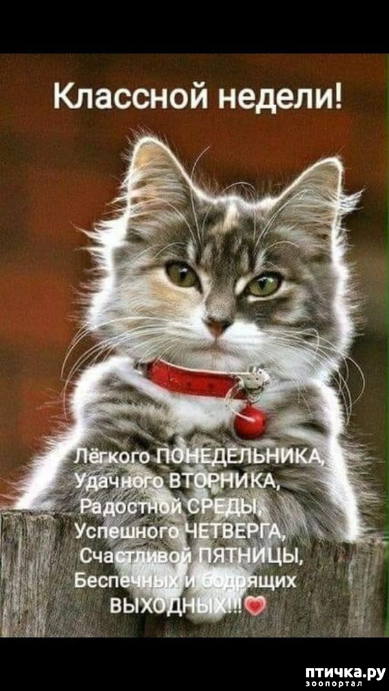 ���� 11: ��������...