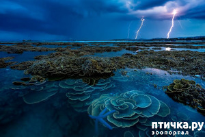 ����: 13 ���� � �������� Landscape-2019