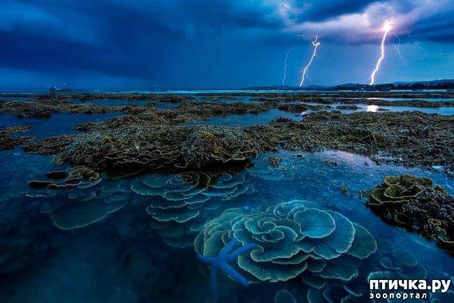 ���� 1: 13 ���� � �������� Landscape-2019