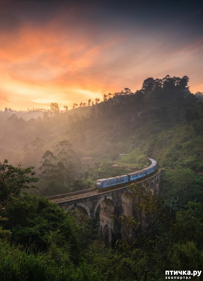 ���� 3: 13 ���� � �������� Landscape-2019