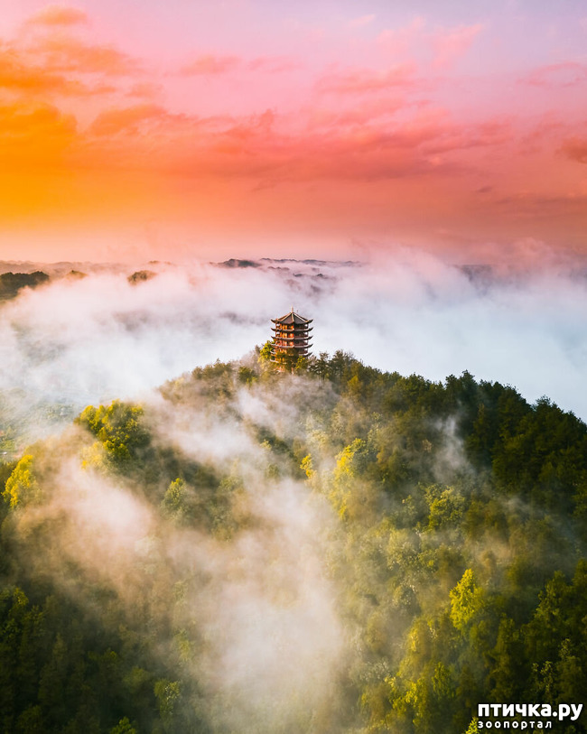 ���� 5: 13 ���� � �������� Landscape-2019