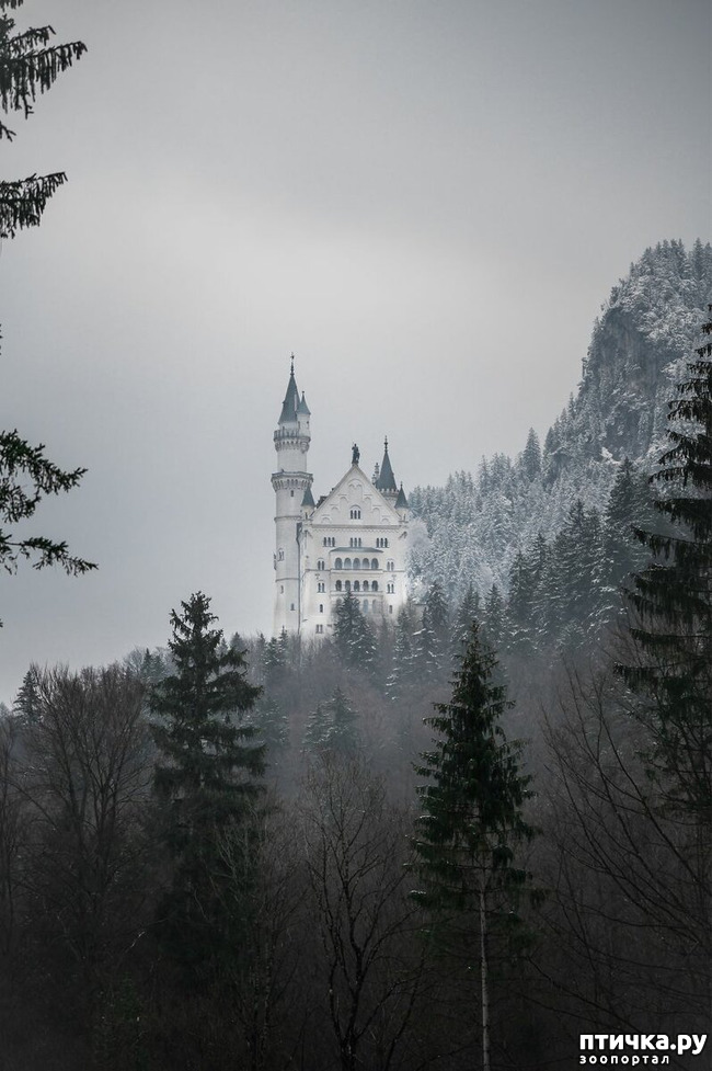 ���� 7: 13 ���� � �������� Landscape-2019