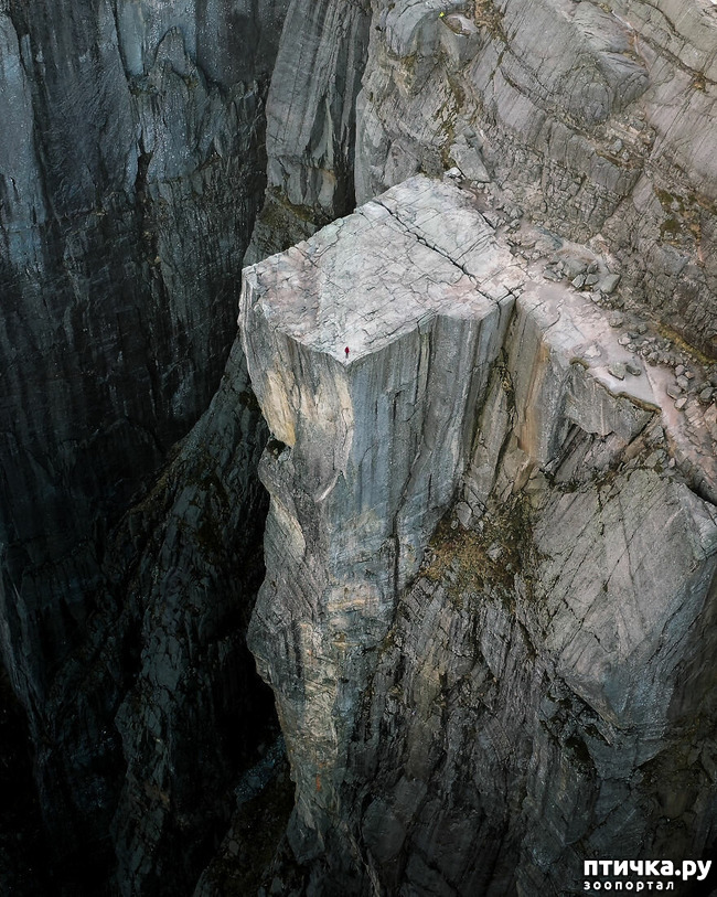 ���� 8: 13 ���� � �������� Landscape-2019