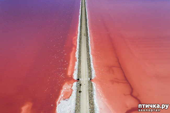 ���� 9: 13 ���� � �������� Landscape-2019