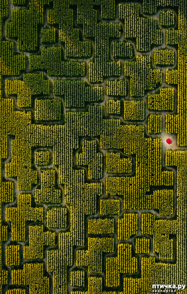 ���� 10: 13 ���� � �������� Landscape-2019