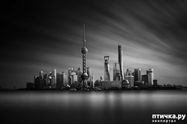 ���� 12: 13 ���� � �������� Landscape-2019