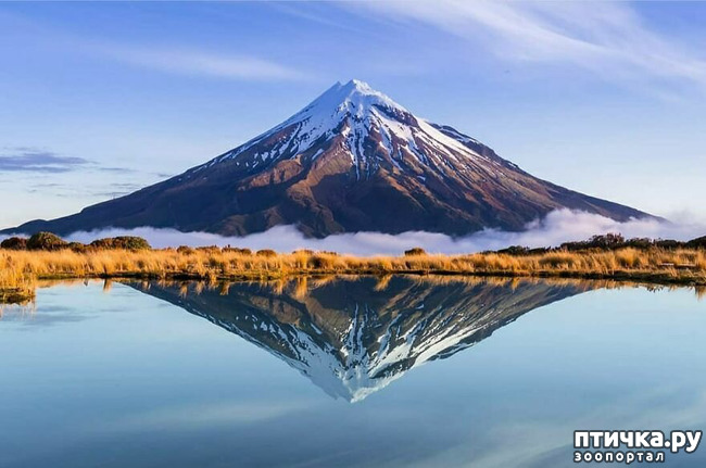 ���� 13: 13 ���� � �������� Landscape-2019