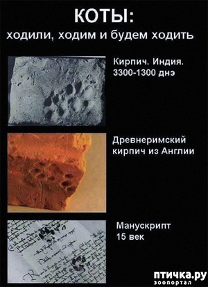 ����: ����� �����