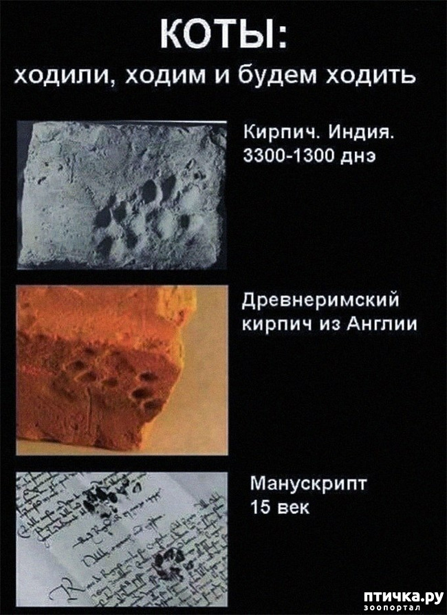 ���� 1: ����� �����