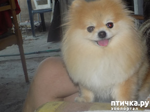 ����: ������� ��������