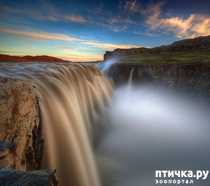 ����: ���� ���� - ���������� ������� ���������