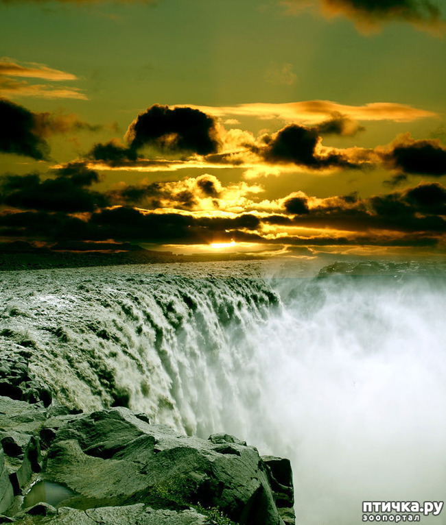 ���� 2: ���� ���� - ���������� ������� ���������