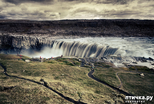 ���� 3: ���� ���� - ���������� ������� ���������