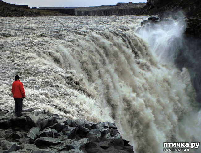 ���� 4: ���� ���� - ���������� ������� ���������