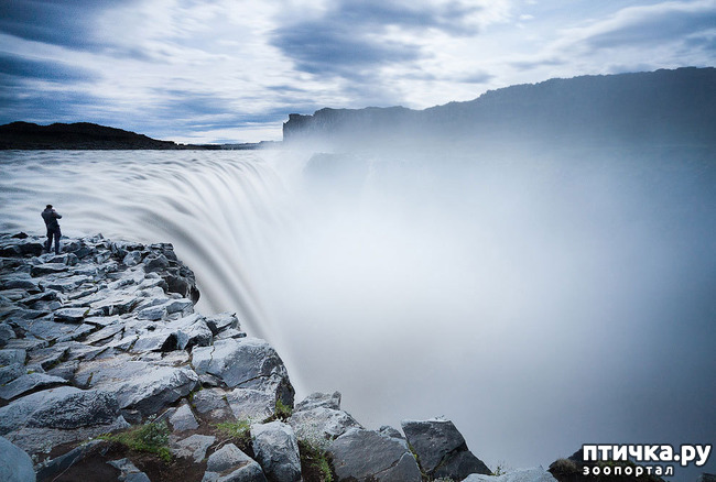 ���� 5: ���� ���� - ���������� ������� ���������