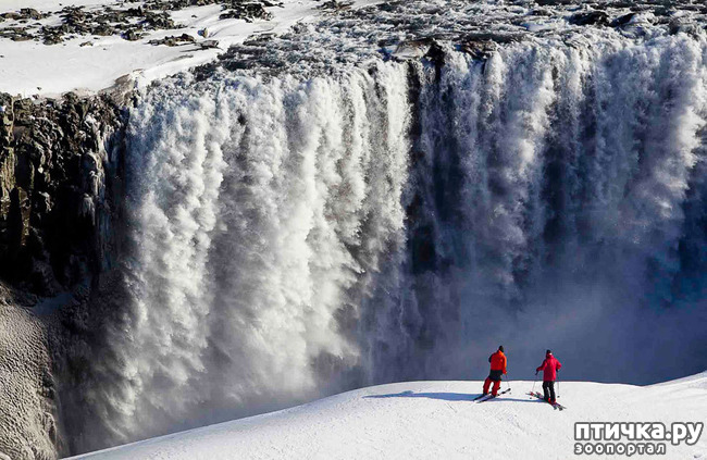 ���� 6: ���� ���� - ���������� ������� ���������