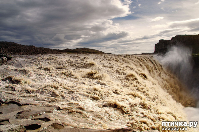 ���� 8: ���� ���� - ���������� ������� ���������