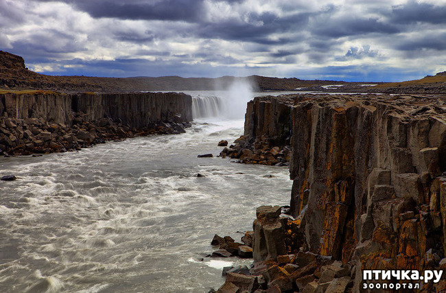 ���� 9: ���� ���� - ���������� ������� ���������