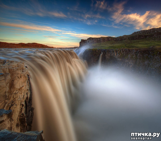 ���� 11: ���� ���� - ���������� ������� ���������