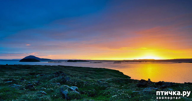 ���� 12: ���� ���� - ���������� ������� ���������