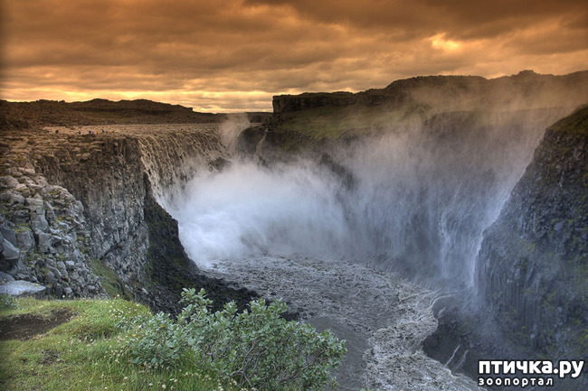 ���� 13: ���� ���� - ���������� ������� ���������