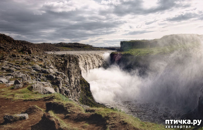 ���� 15: ���� ���� - ���������� ������� ���������