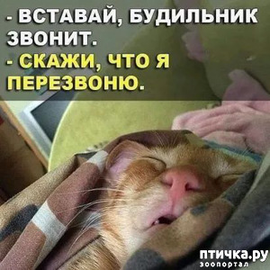 ����: ���� �������� ���