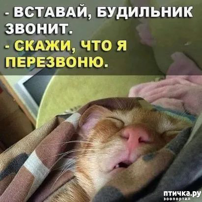 ���� 1: ���� �������� ���