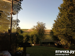 ����: ���� ����������� ��� ��� �� ����.