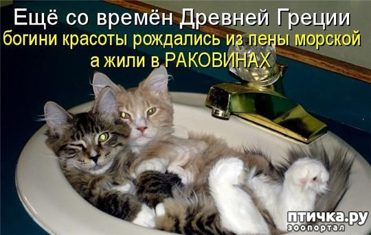 ���� 2: ����������� �� �������������. ���� � �����