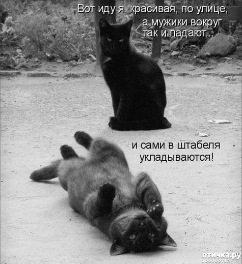 ���� 3: ����������� �� �������������. ���� � �����