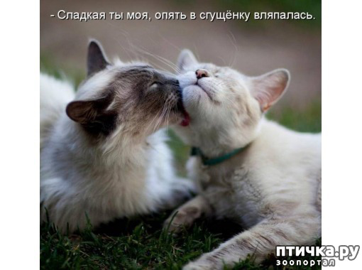 ���� 4: ����������� �� �������������. ���� � �����