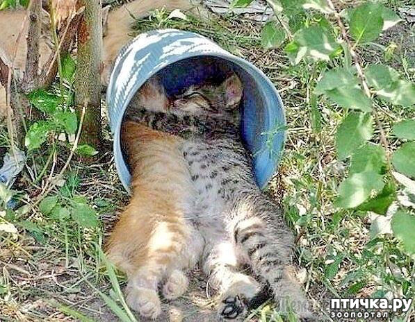 ���� 6: ����������� �� �������������. ���� � �����