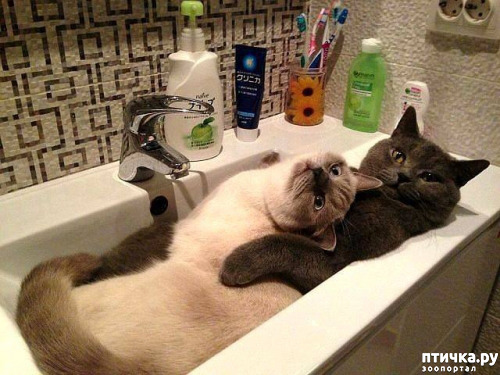 ���� 7: ����������� �� �������������. ���� � �����