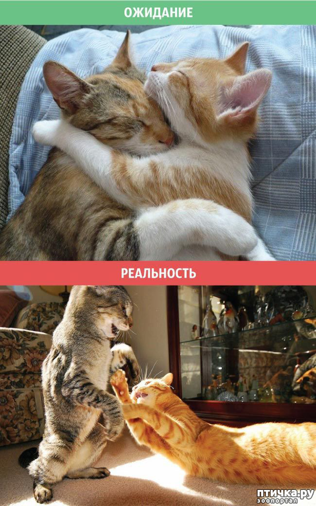 ���� 8: ����������� �� �������������. ���� � �����