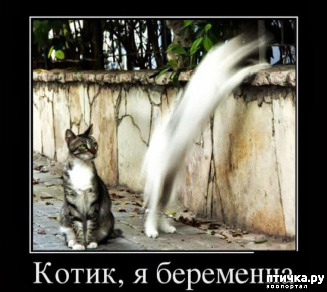 ���� 9: ����������� �� �������������. ���� � �����