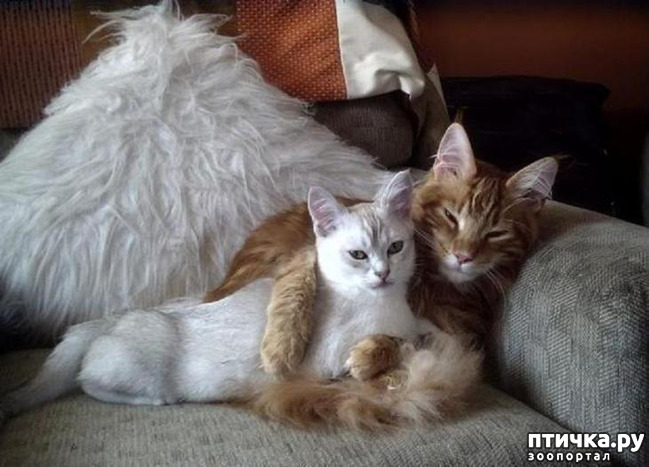 ���� 10: ����������� �� �������������. ���� � �����