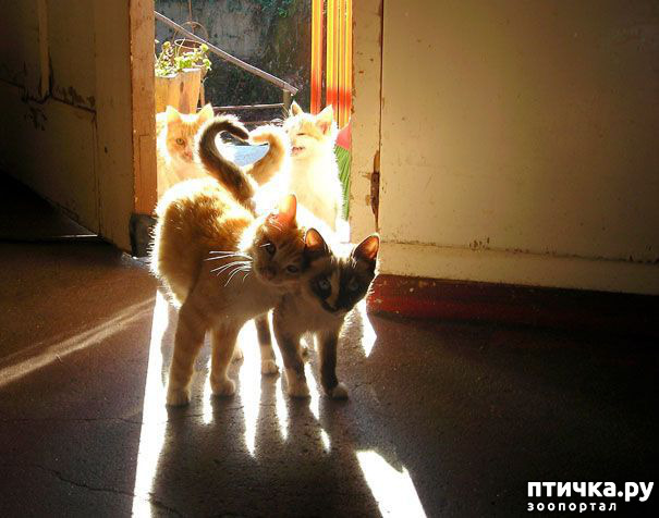 ���� 12: ����������� �� �������������. ���� � �����