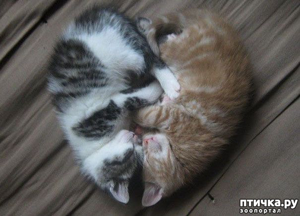 ���� 13: ����������� �� �������������. ���� � �����