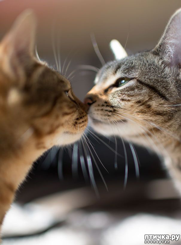 ���� 15: ����������� �� �������������. ���� � �����