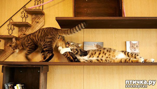 ���� 18: ����������� �� �������������. ���� � �����