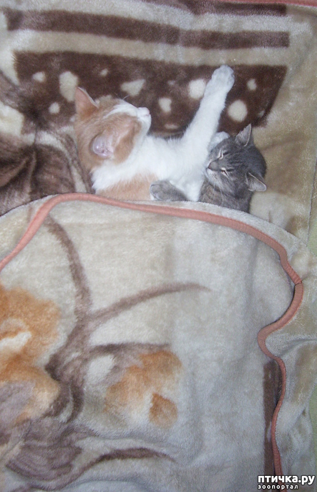 ���� 20: ����������� �� �������������. ���� � �����