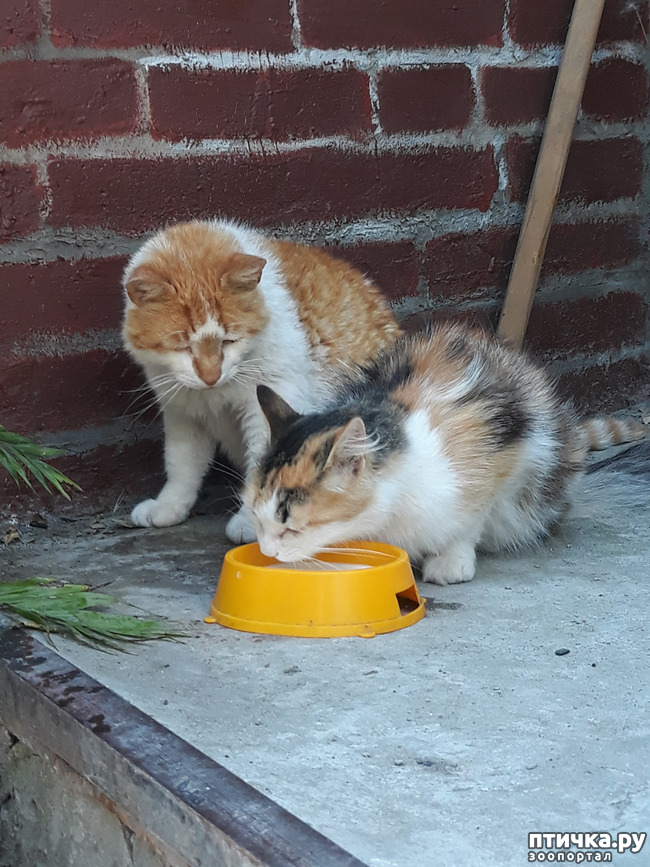 ���� 22: ����������� �� �������������. ���� � �����