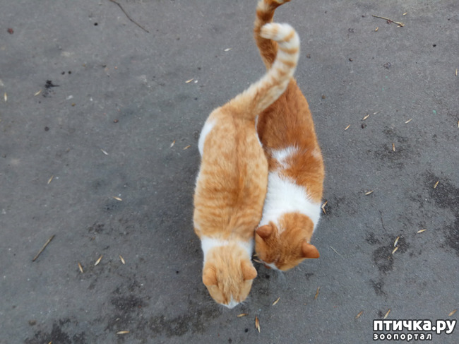 ���� 23: ����������� �� �������������. ���� � �����