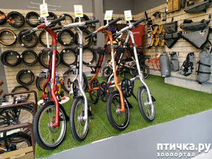 ����: ������������. � ������� �� ������!