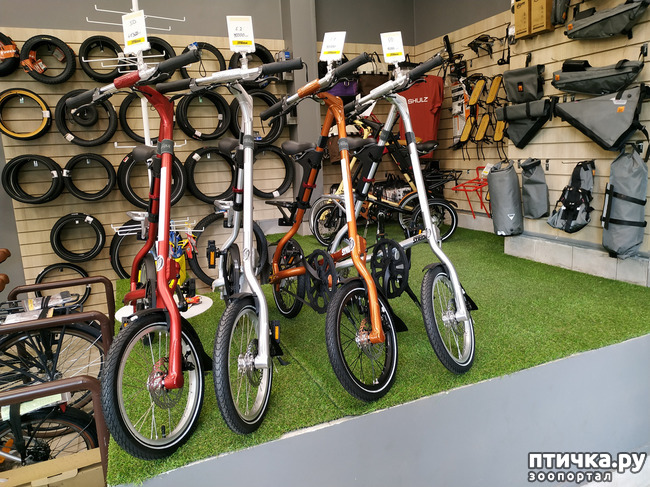 ���� 1: ������������. � ������� �� ������!